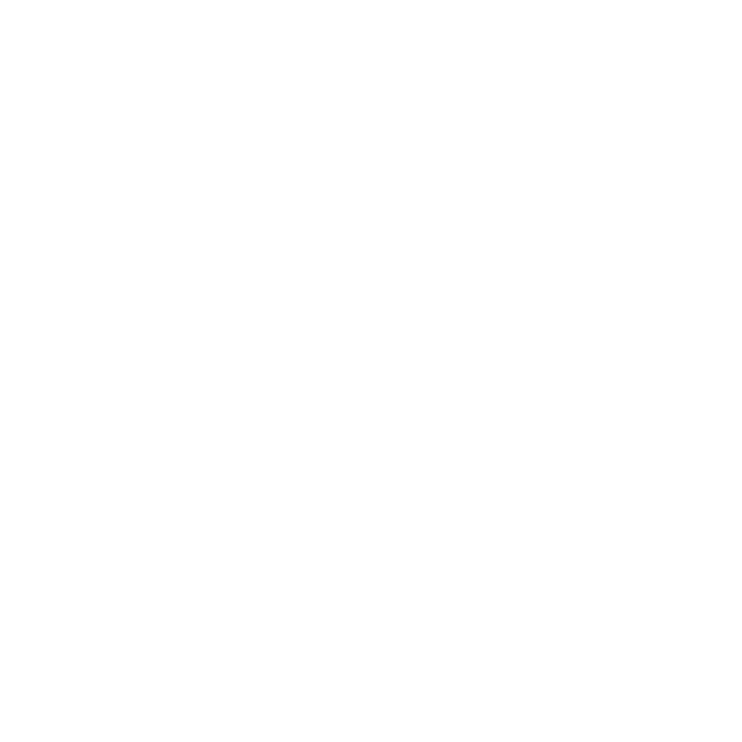 Logo FOTON bianco